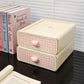 Pastel Gingham Desktop Stationery Organizer